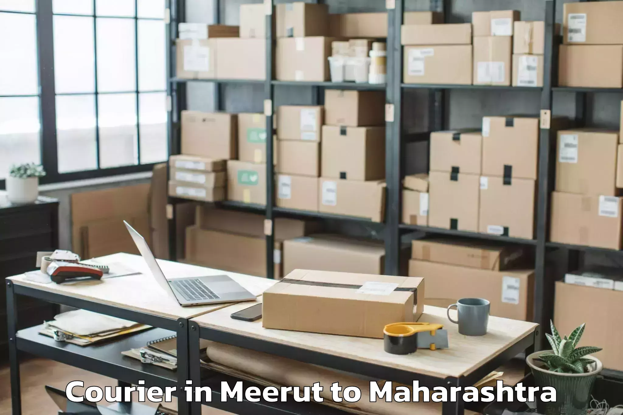 Leading Meerut to Pimpalkhuta Courier Provider